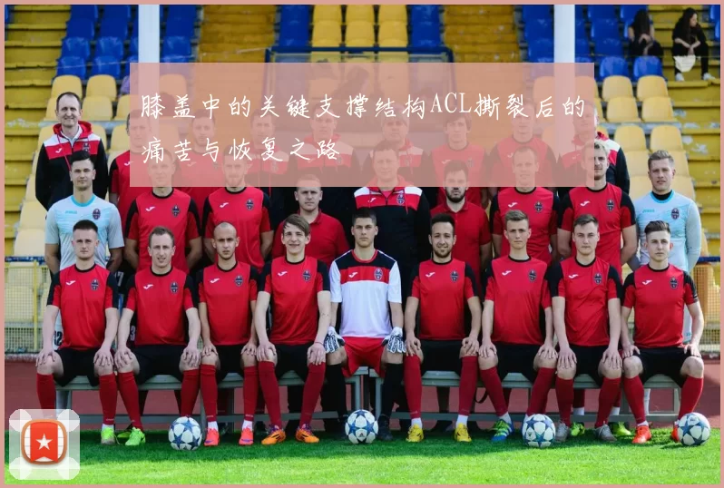 膝盖中的关键支撑结构ACL撕裂后的痛苦与恢复之路