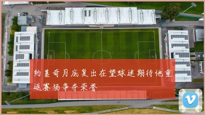 约基奇月底复出在望球迷期待他重返赛场争夺荣誉