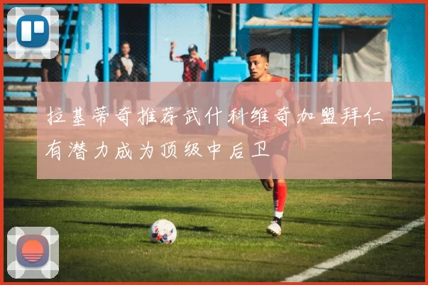 拉基蒂奇推荐武什科维奇加盟拜仁有潜力成为顶级中后卫